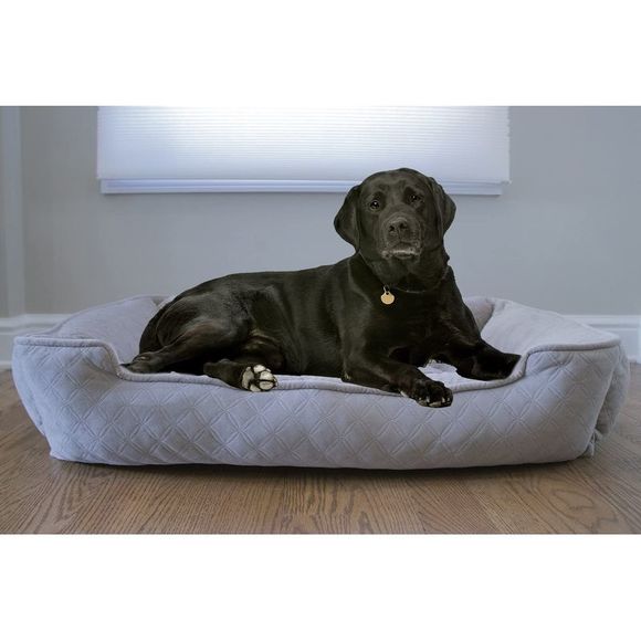 Arlee Home Fashions Lounger and Cuddler Style Pet Bed NS